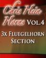 Chris Hein - Horns Vol.4<br />Sections Fluegelhorn