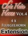Chris Hein - Horns Vol.4<br />4 x Fluegelhorn -Extension-