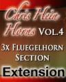 Chris Hein - Horns Vol.4<br />Sections Fluegelhorn -Extension-