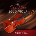 Chris Hein - Solo Viola USA and rest of the world.