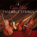 Chris Hein - Ensemble Strings  EU Customers